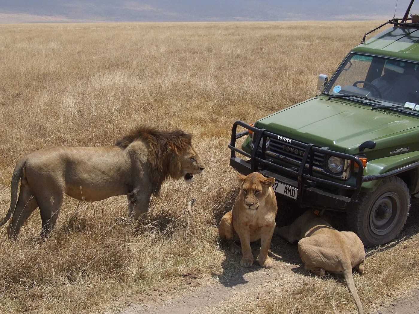 Serengeti Western Corridor