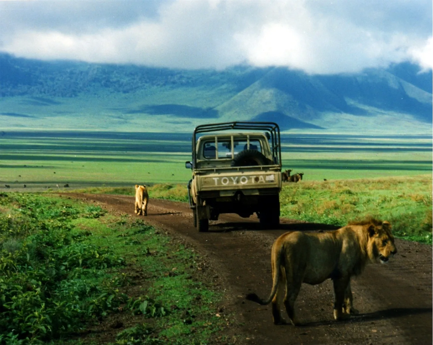 Ngorongoro Crater