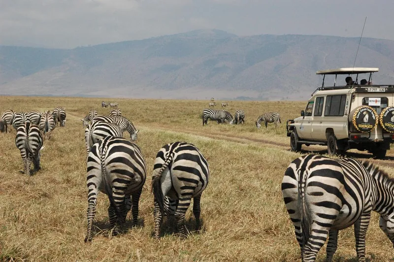 Serengeti Western Corridor, Serengeti National Park