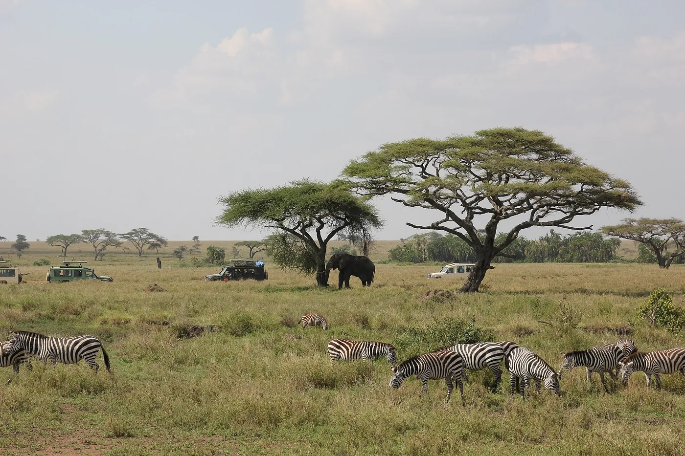 Ngorongoro Crater, Ngorongoro Conservation Area