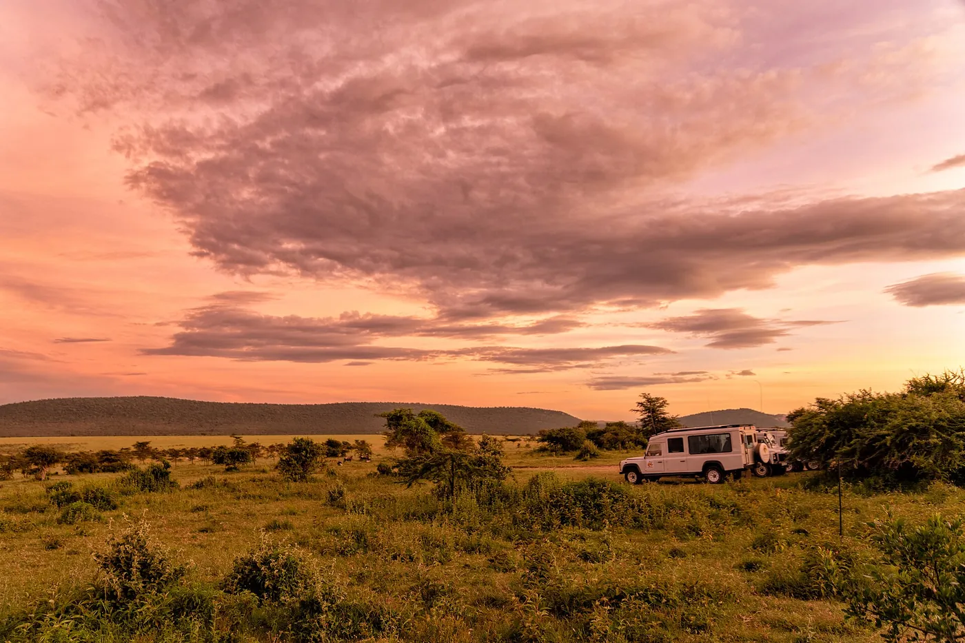 Sunset over the savanna grasslands