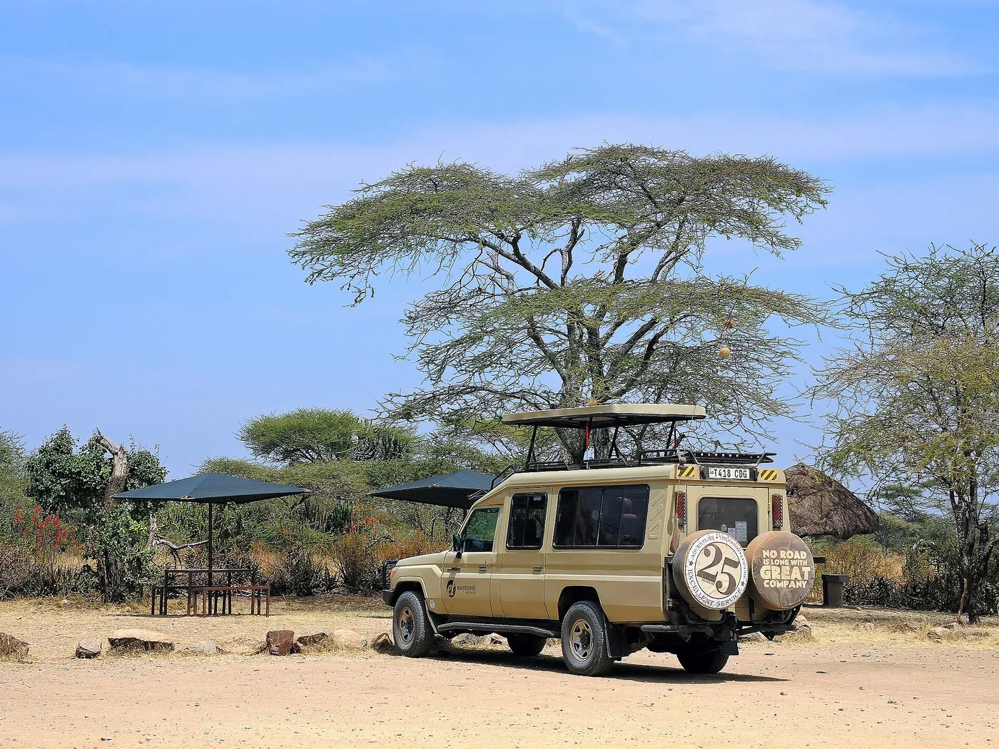 A safari vehicle under a flat-topped acacia tree
