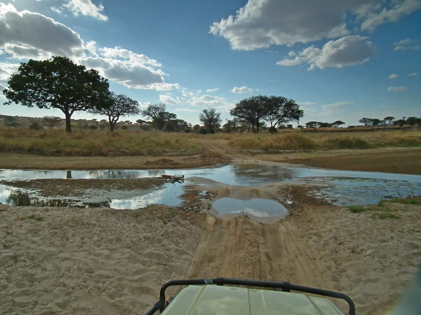 A seasonal waterhole on the plains after rain