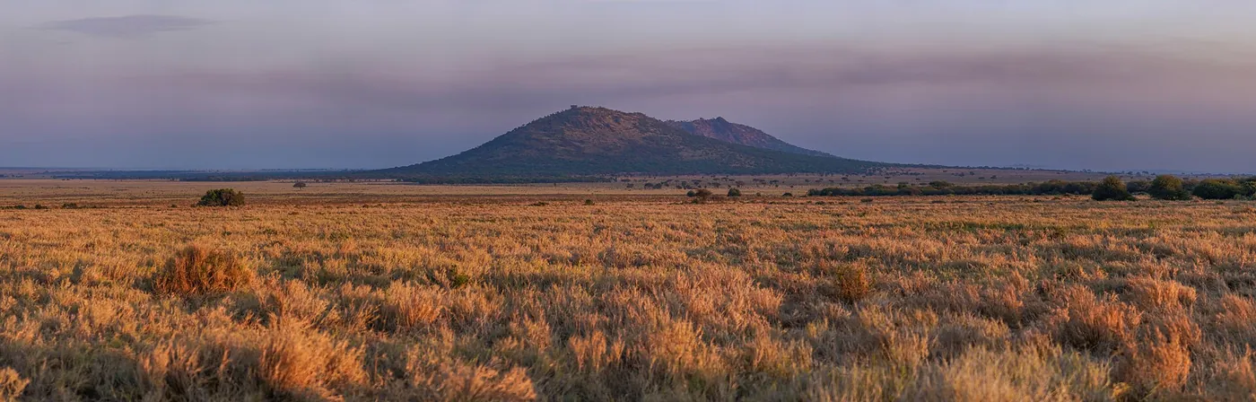 A volcanic peak rising above the plains at dusk