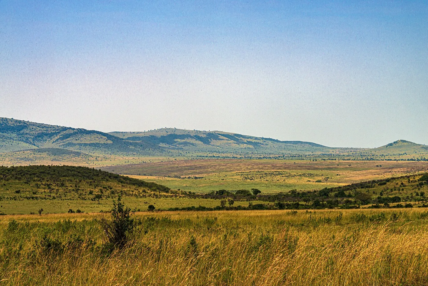 Rolling green hills of the northern circuit