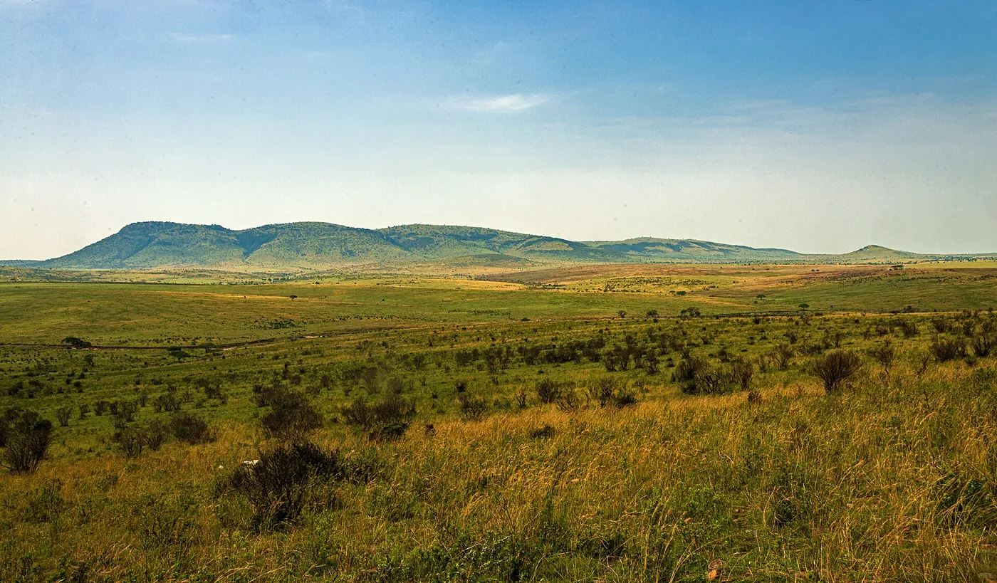 The Serengeti plains meeting distant hills