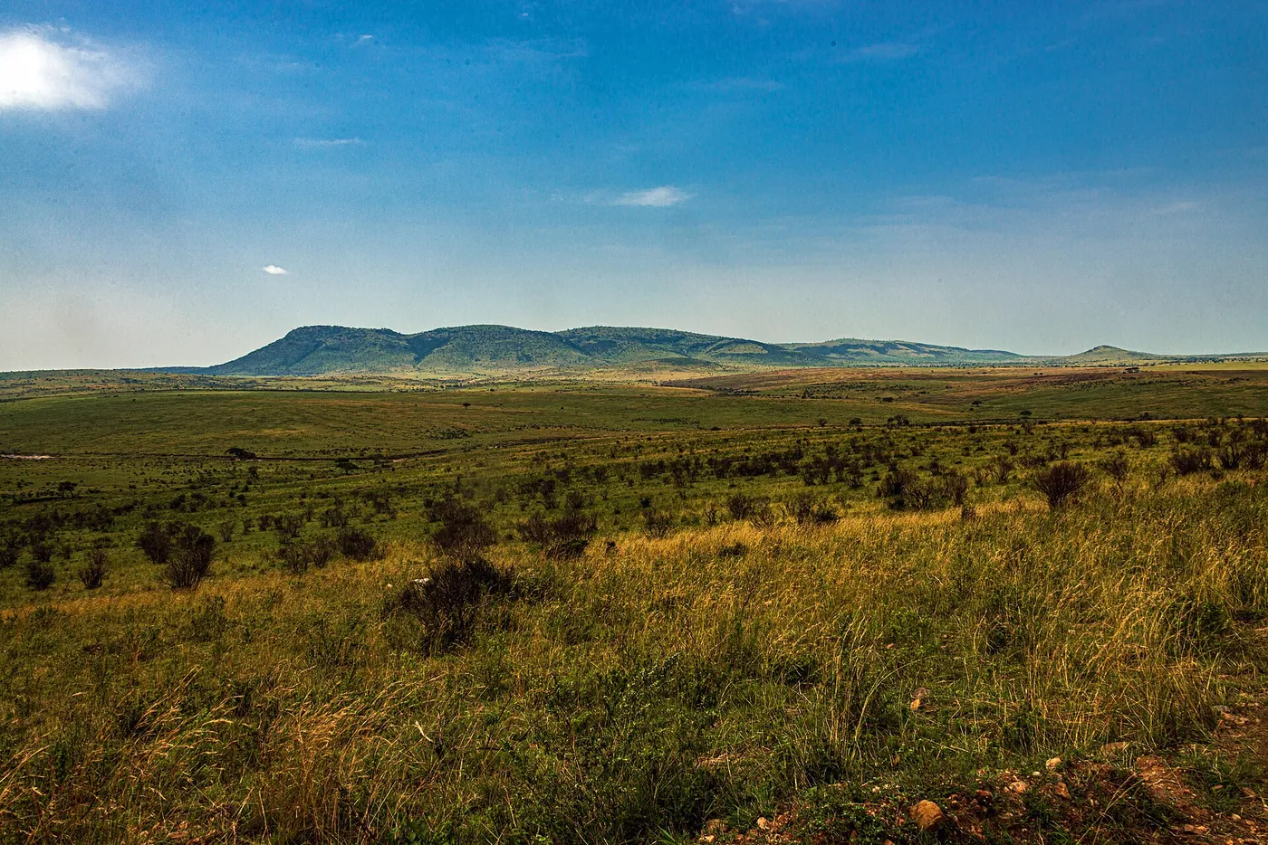 Wide grassland under a bright African sky